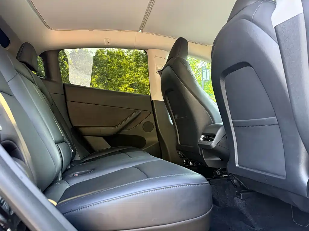 Model Y 2023 Rear-Wheel Drive Edition