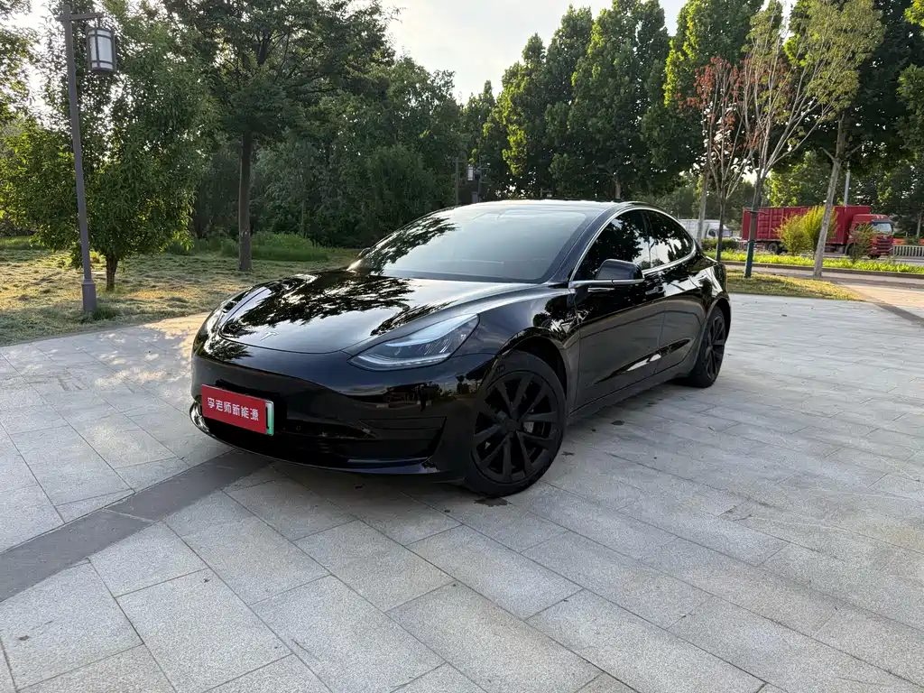 Model 3 Long Range Rear-Wheel Drive Upgrade 2020