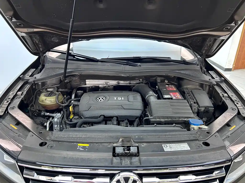 Tiguan L 2017 330 TSI Automatic Two-Wheel Drive Luxury Edition