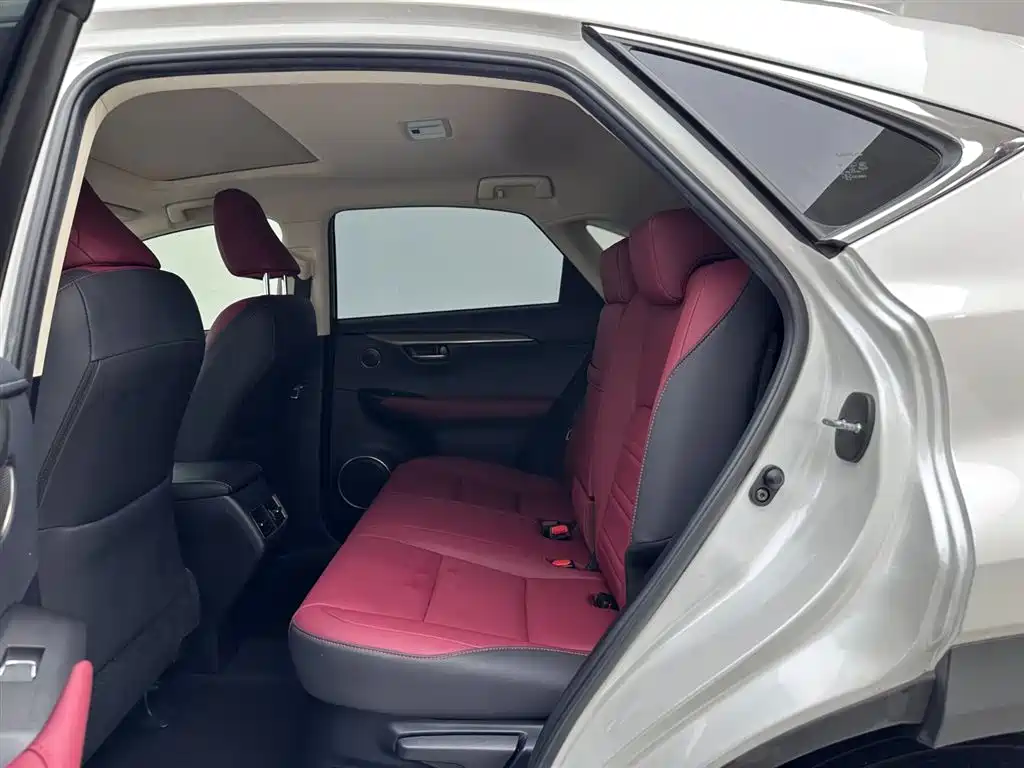 Lexus NX 2020 300h Front-wheel Drive Fengshang Edition National VI