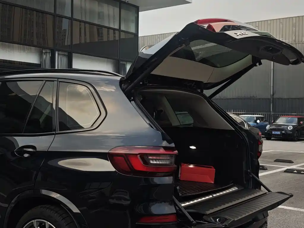 BMW X5 New Energy Import 2021 Model xDrive45e M Sport Package
