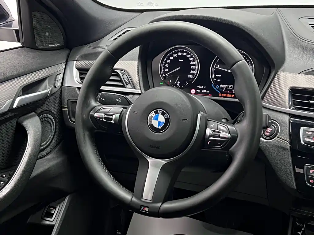 BMW X2 Import 2019 xDrive25i M Off-Road Package National VI