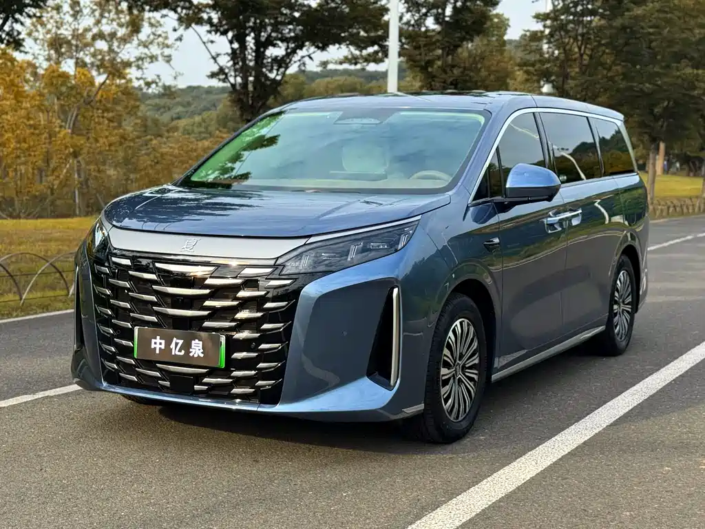 Xia 2025 Model DM-i 1.5T 180km Excellence Edition