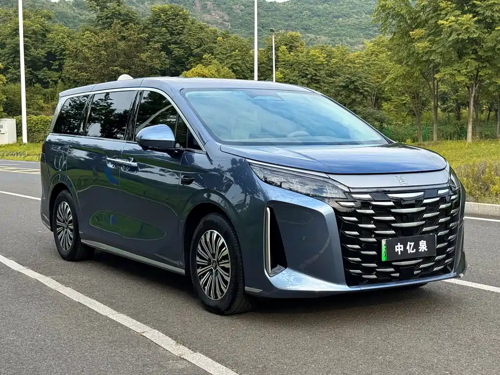 Xia 2025 Model DM-i 1.5T 180km Excellence Edition