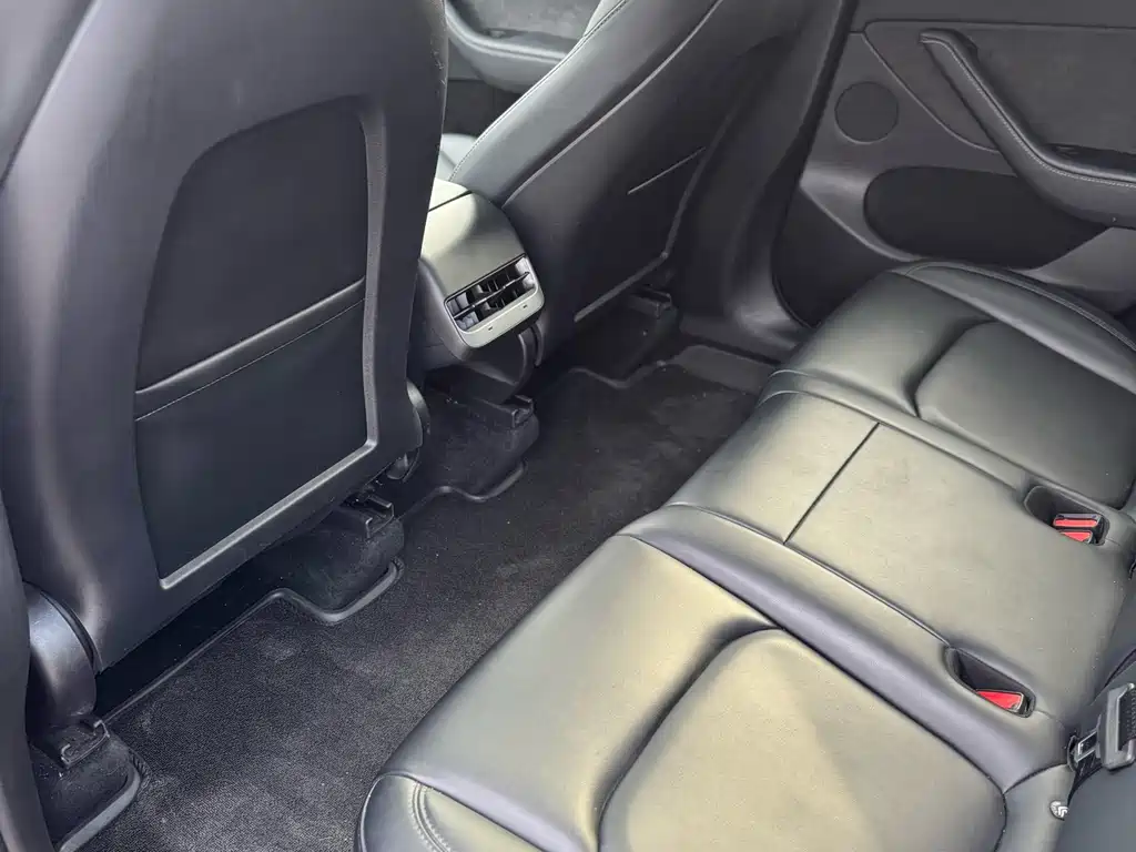 Model Y 2024 Rear-Wheel Drive Edition