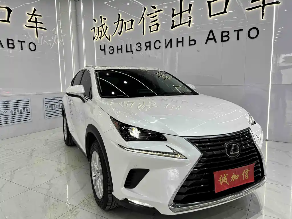 Lexus NX 2020 200 All-Wheel Drive Fengshang Edition National VI