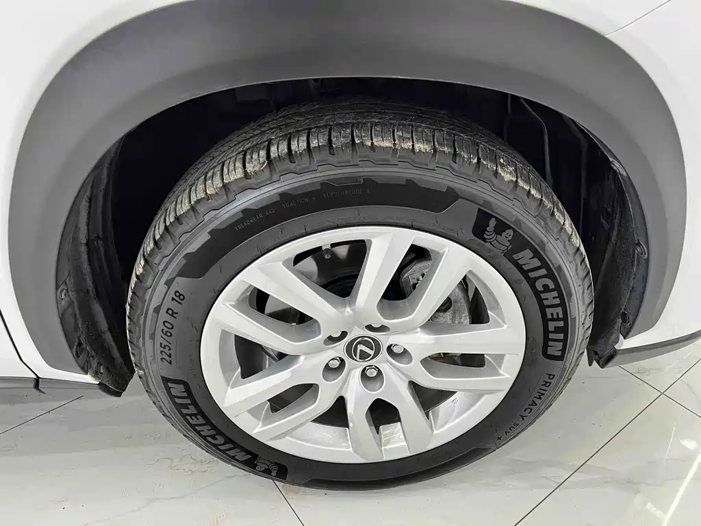 Lexus NX 2020 200 All-Wheel Drive Fengshang Edition National VI