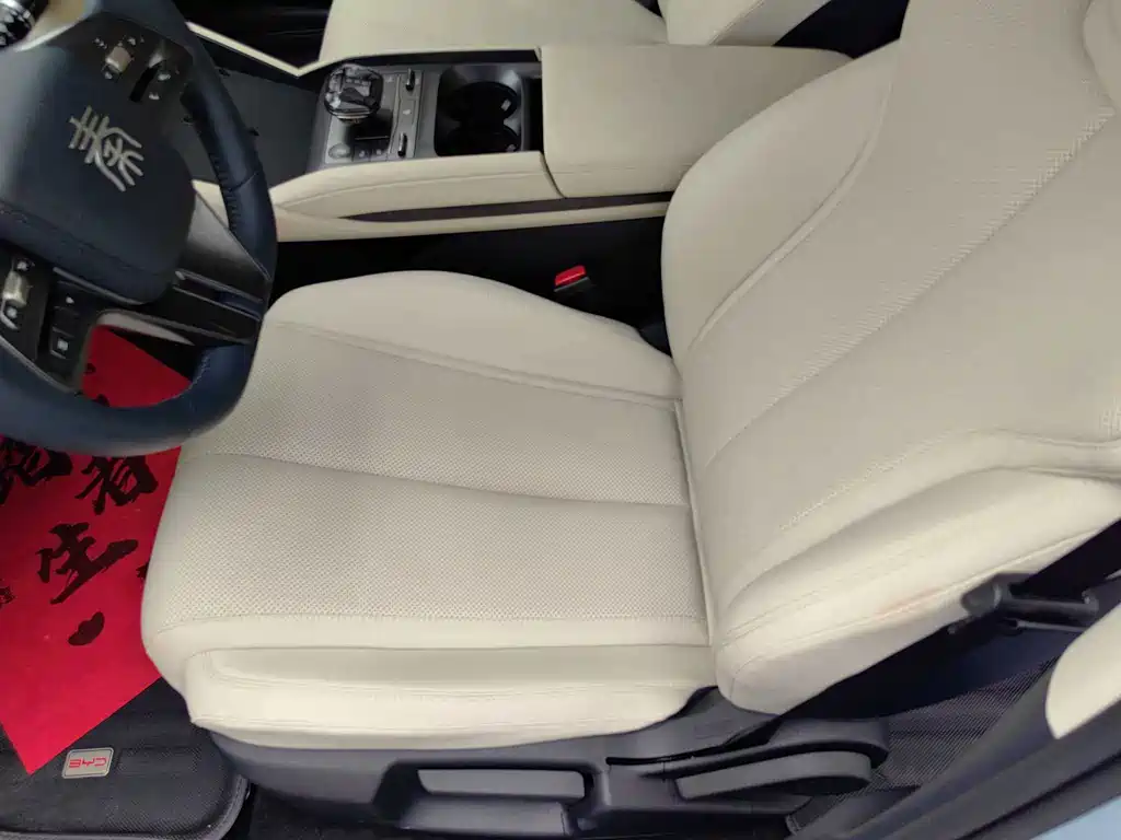 Qin L 2024 DM-i 80KM Leading Edition