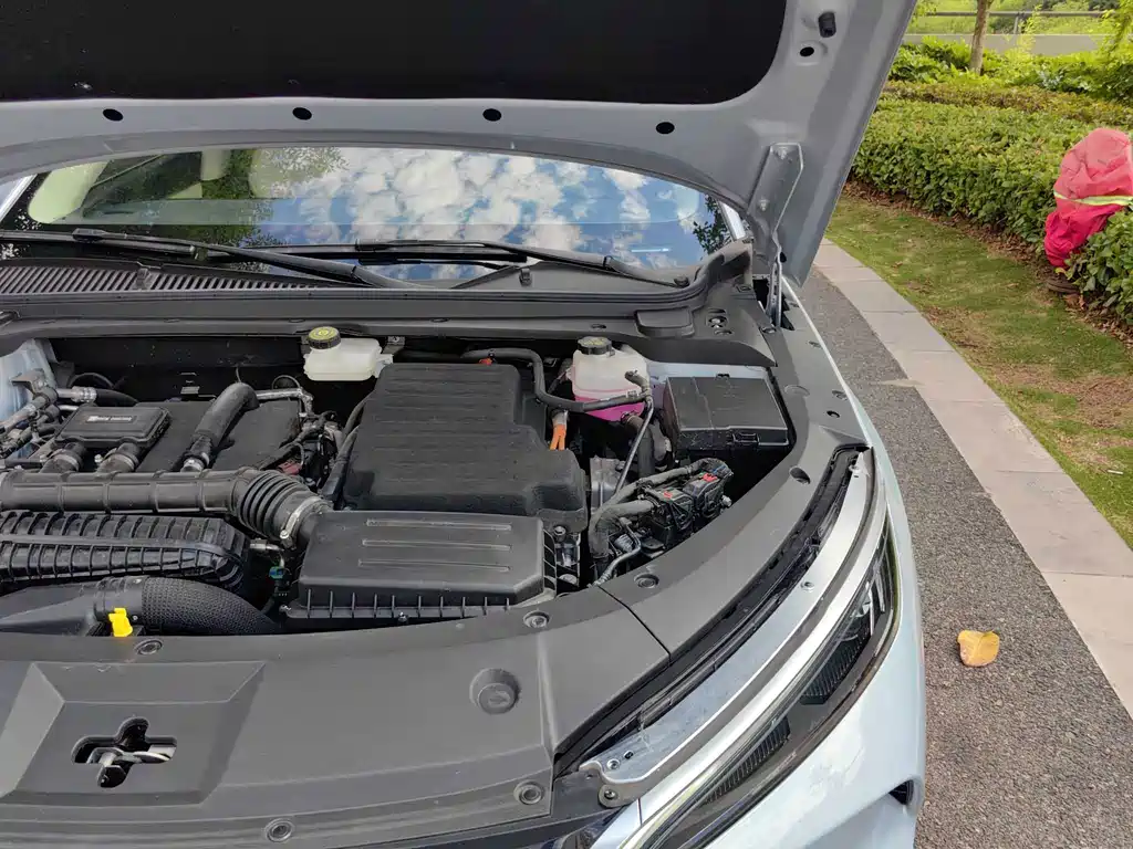Qin L 2024 DM-i 80KM Leading Edition