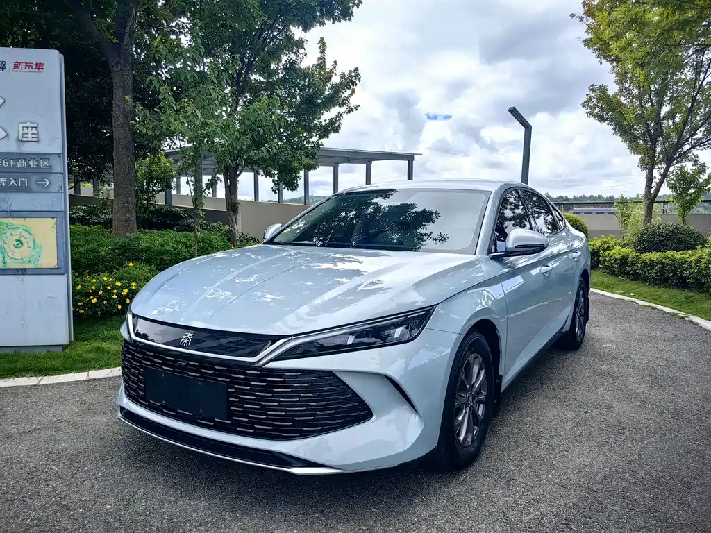 Qin L 2024 DM-i 80KM Leading Edition