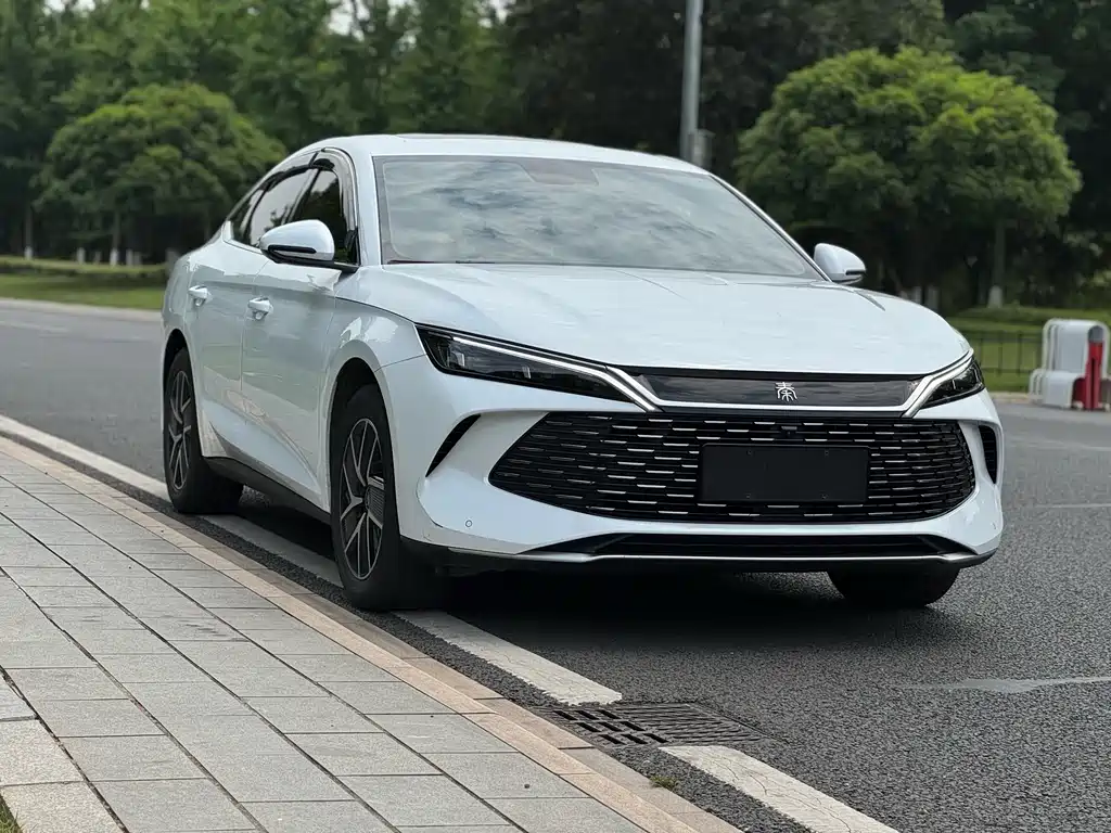 Qin L 2024 DM-i 120KM Leading Edition