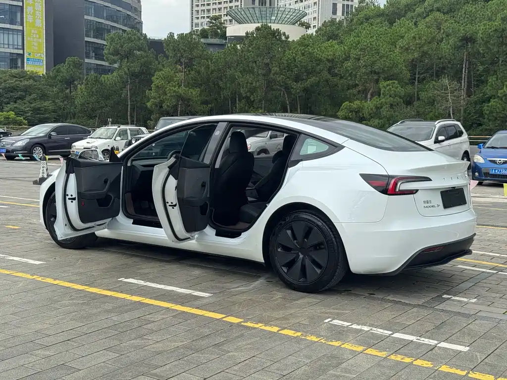 Model 3 Long Range Rear-Wheel Drive 2025 Edition