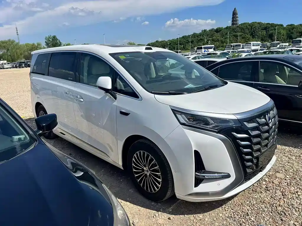 Tengri D9 2025 Model DM-i Smart Drive Edition 1020 All-Wheel Drive Flagship Type