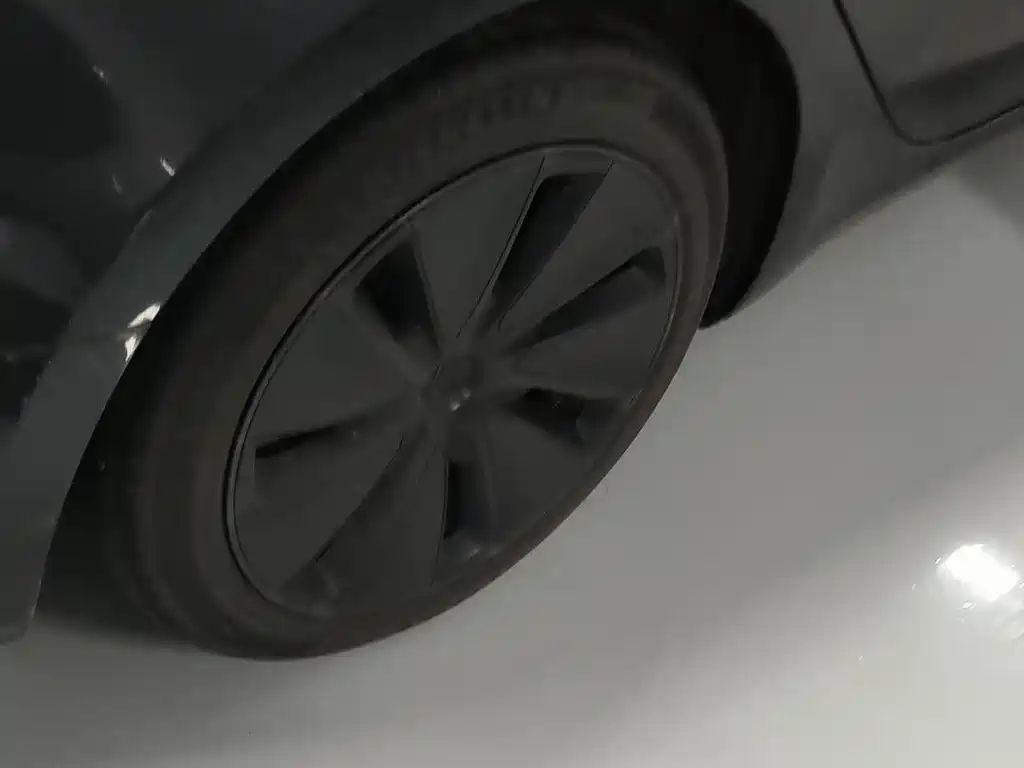 Model 3 Rear-Wheel Drive 2023