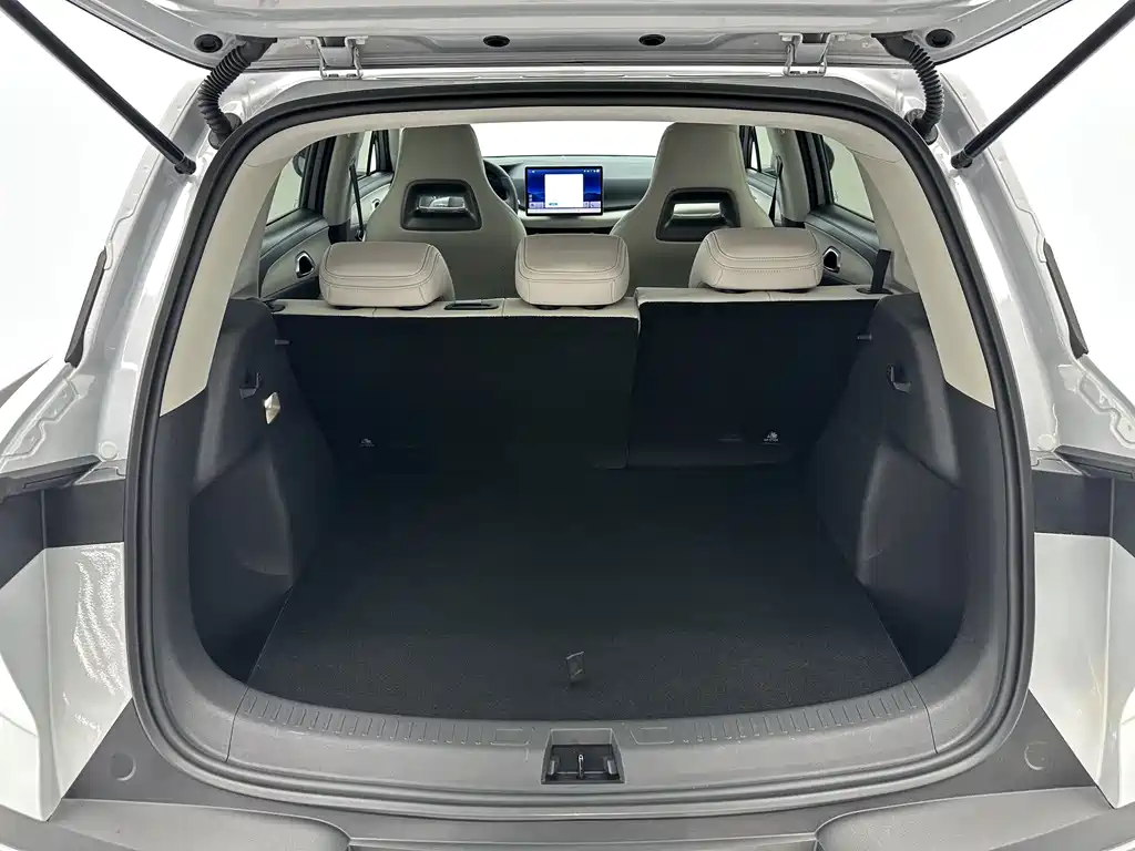 Yuan UP 2025 Edition Smart Drive Version 401KM Vitality Version