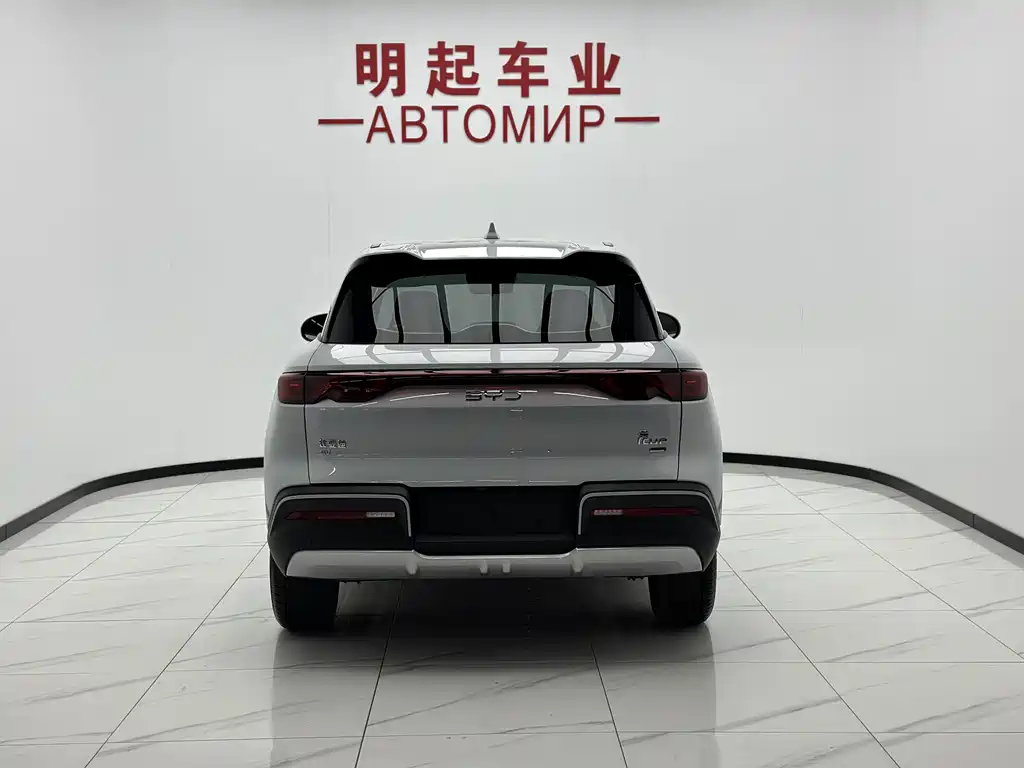 Yuan UP 2025 Edition Smart Drive Version 401KM Vitality Version