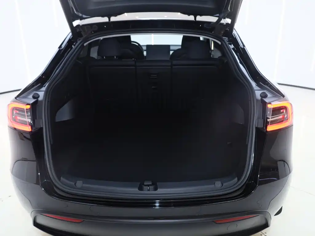 Model Y 2022 Rear-Wheel Drive Edition