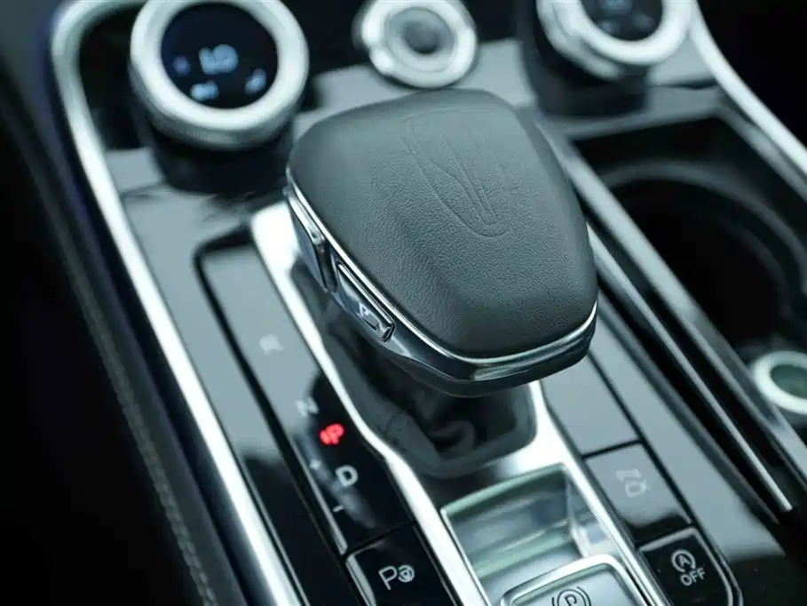 Hongqi H9 2021 Model 2.5T Official Version