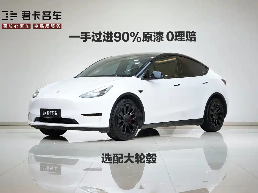Model Y 2021 Standard Range Rear-Wheel Drive Edition