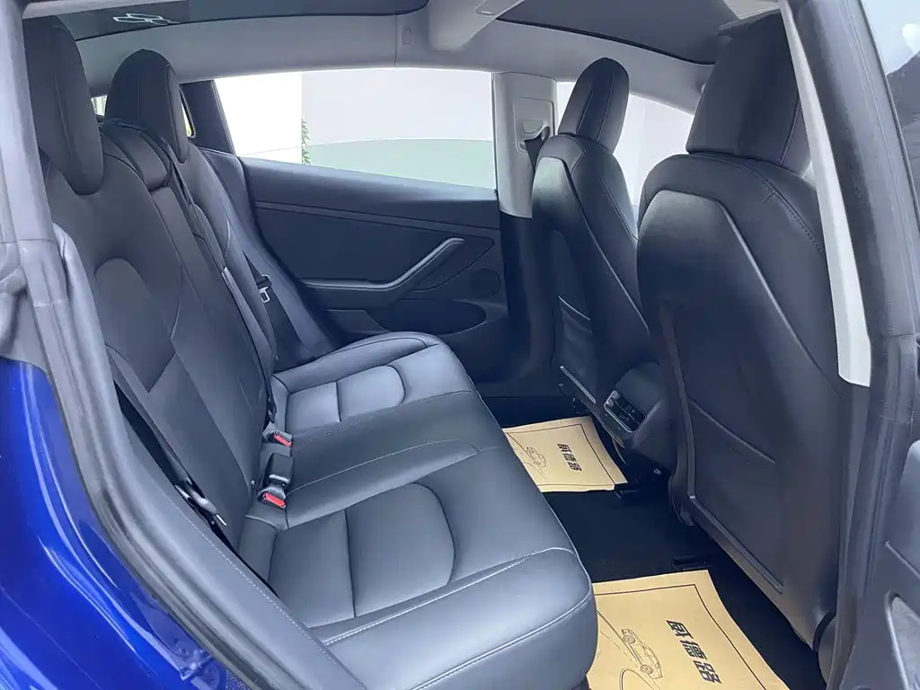 Model 3 2021 Rear-Wheel Drive Standard Range Upgrade Edition 3D1