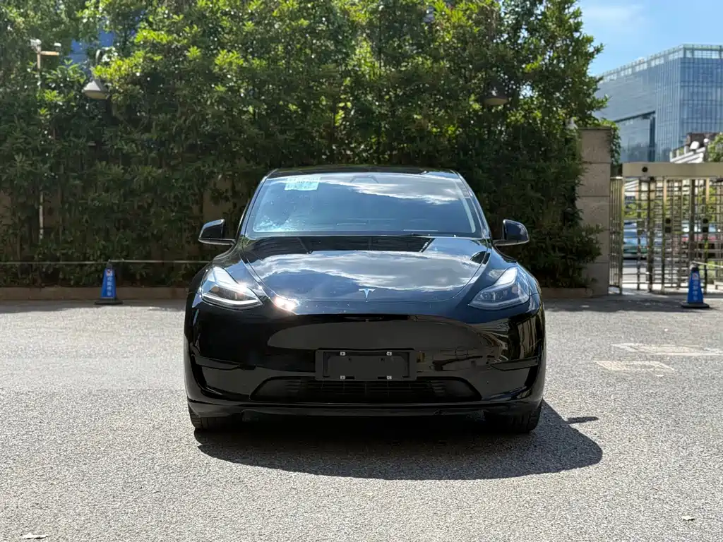Model Y 2022 Rear-Wheel Drive Edition