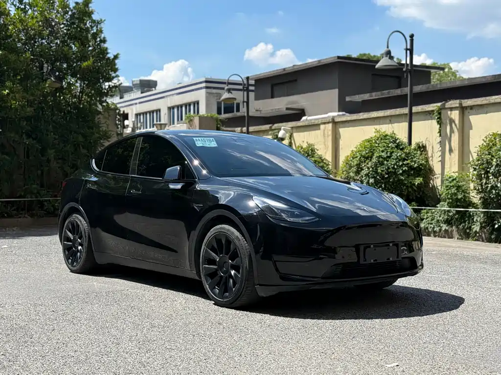 Model Y 2022 Rear-Wheel Drive Edition