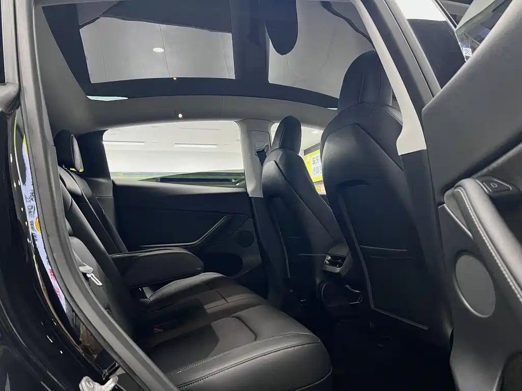 Model Y 2022 Rear-Wheel Drive Edition