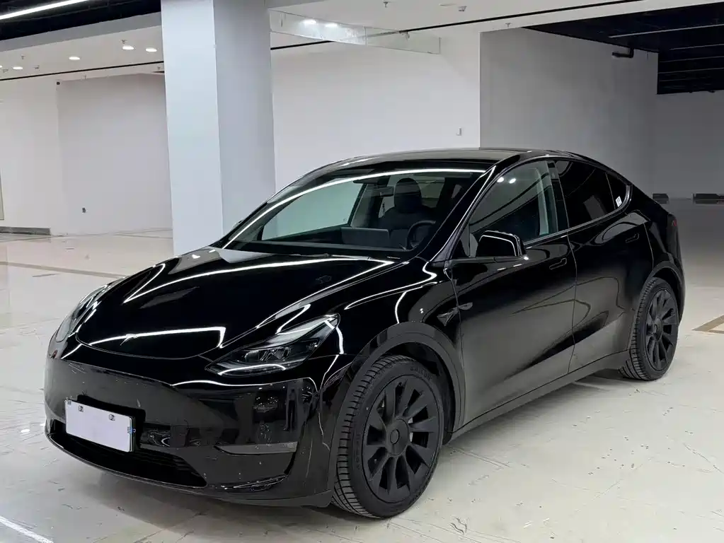 Model Y 2021 Standard Range Rear-Wheel Drive Edition