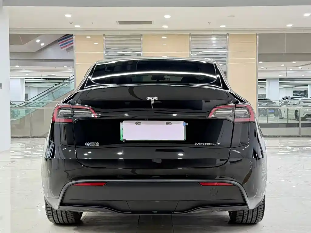 Model Y 2021 Standard Range Rear-Wheel Drive Edition