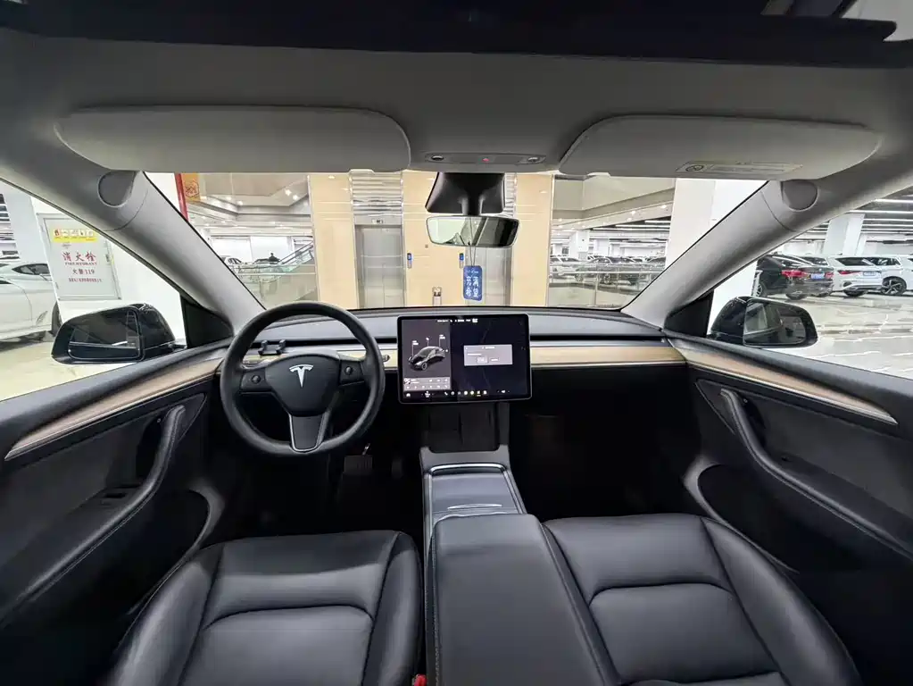 Model Y 2021 Standard Range Rear-Wheel Drive Edition