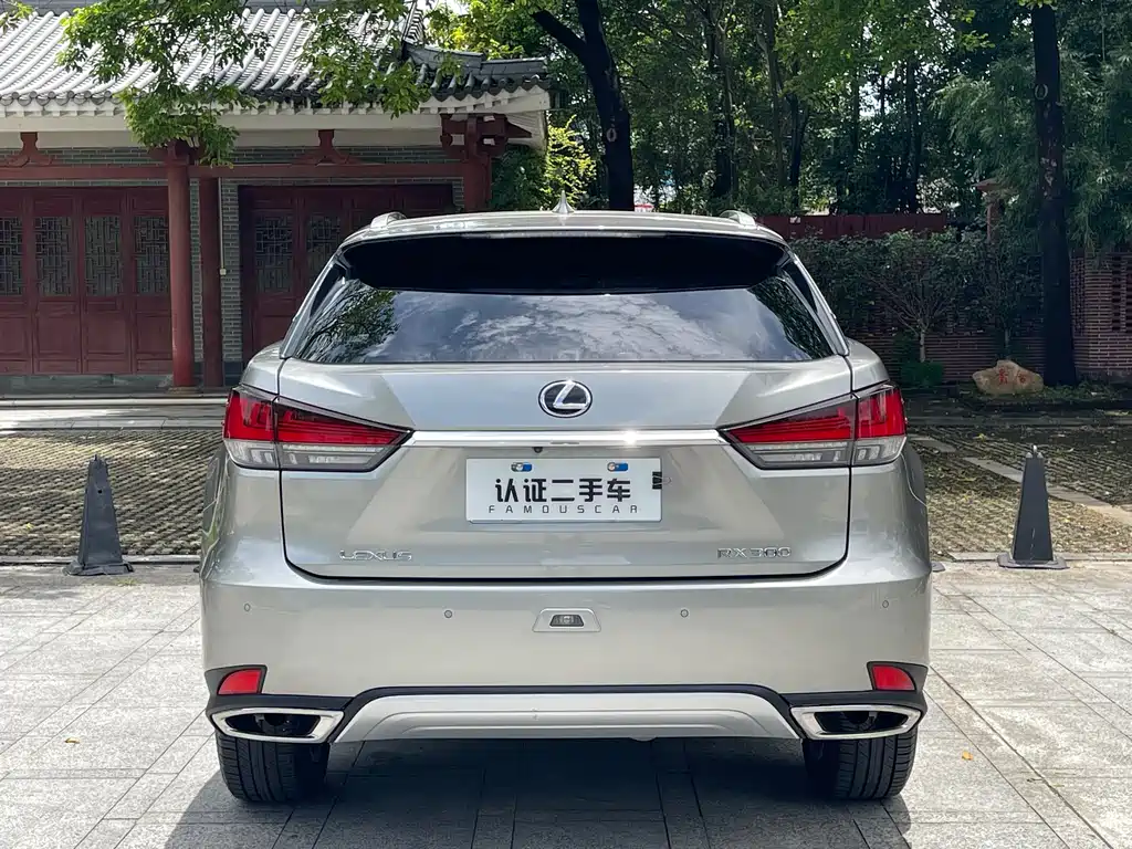 Lexus RX 2020 300 4WD Elegant Edition National VI