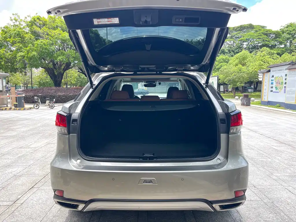 Lexus RX 2020 300 4WD Elegant Edition National VI