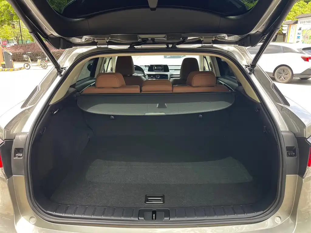 Lexus RX 2020 300 4WD Elegant Edition National VI