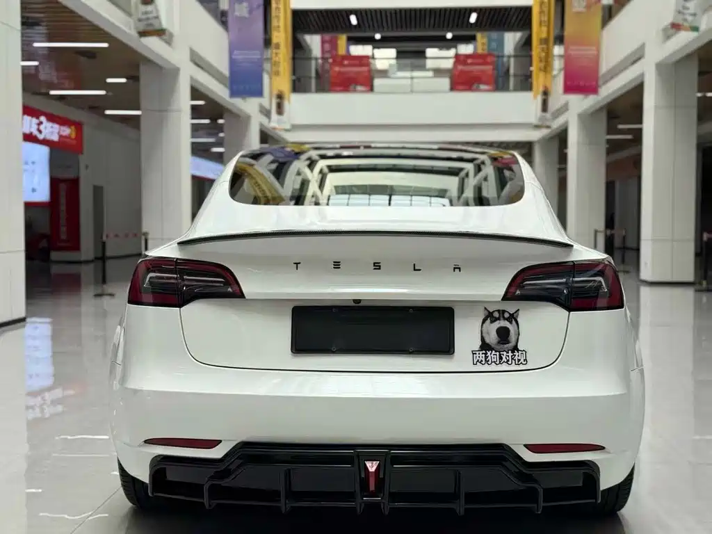 Model 3 Rear-Wheel Drive 2022