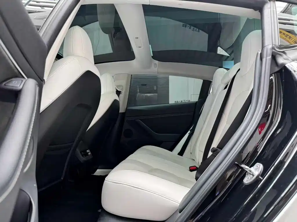 Model 3 Rear-Wheel Drive 2022