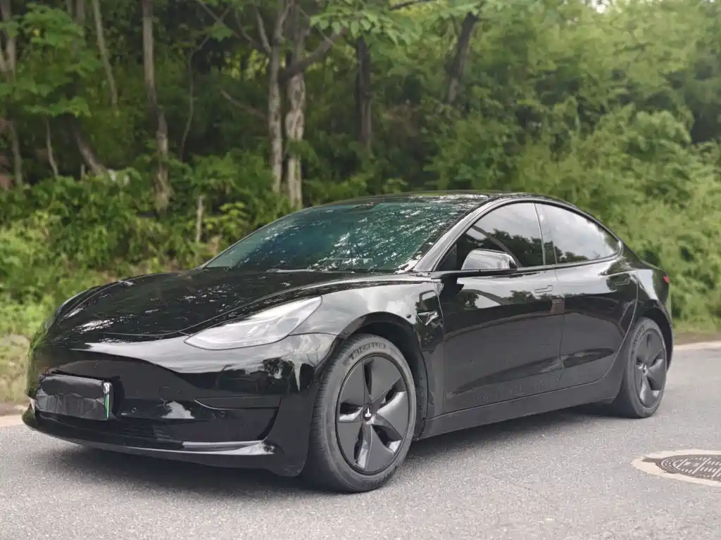 Model 3 Standard Range Rear-Wheel Drive Upgrade 2021