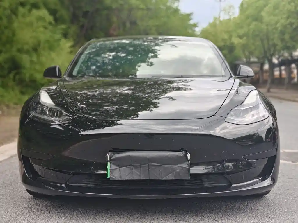 Model 3 Standard Range Rear-Wheel Drive Upgrade 2021