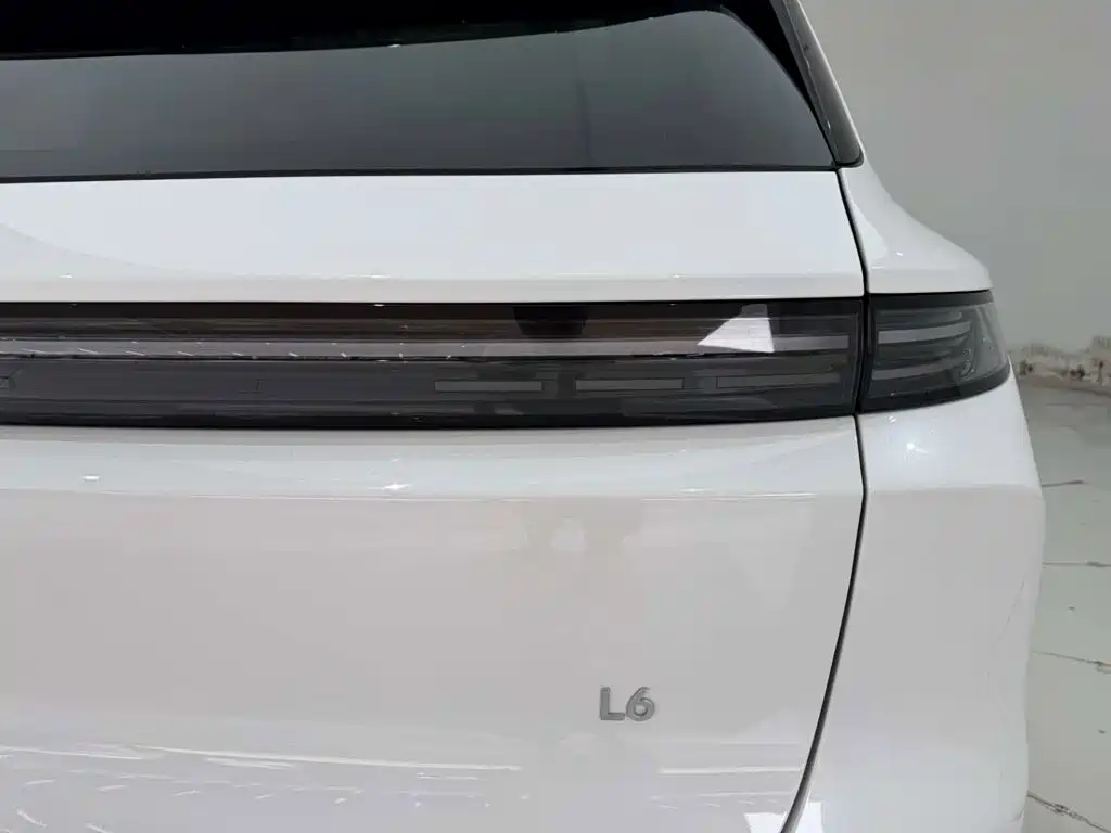 L6 2024 Pro