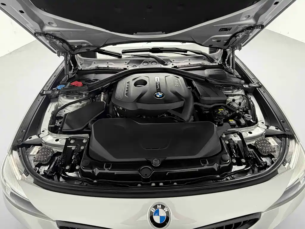 BMW 3 Series GT 2019 320i M Sport Nightshade Edition