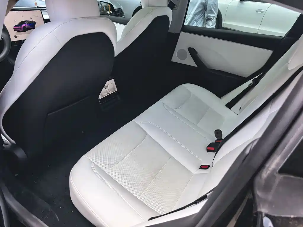 Model 3 Rear-Wheel Drive 2023