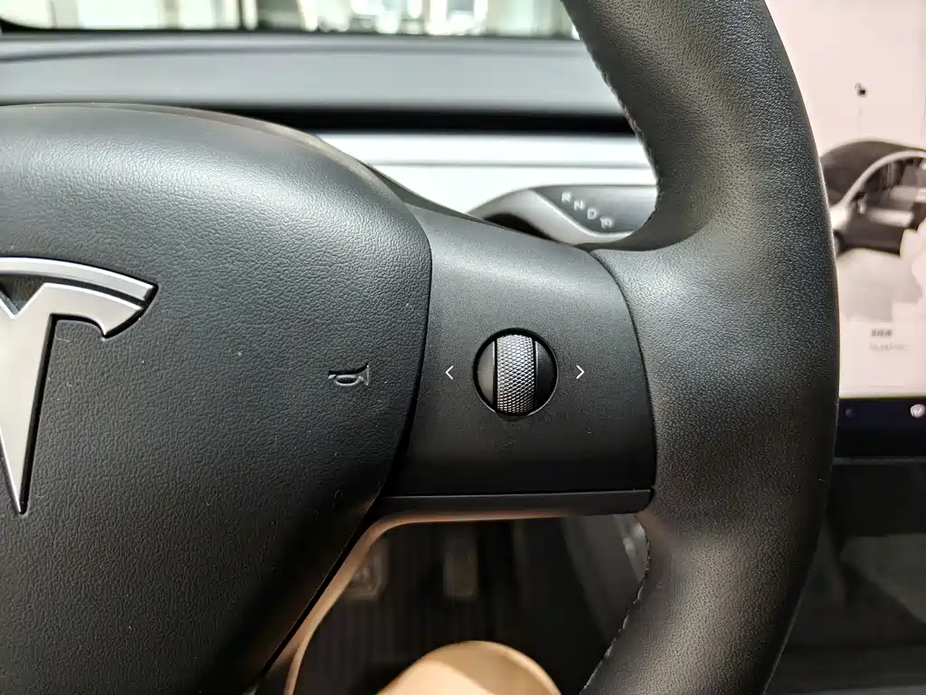 Model Y 2023 Rear-Wheel Drive Edition