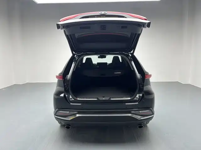 Lingfang Harrier 2022 2.0L CVT Two-Wheel Drive Premium Edition