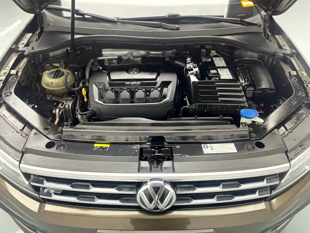 Tiguan L 2020 330 TSI Automatic Two-Wheel Drive R-Line Flagship Edition National VI
