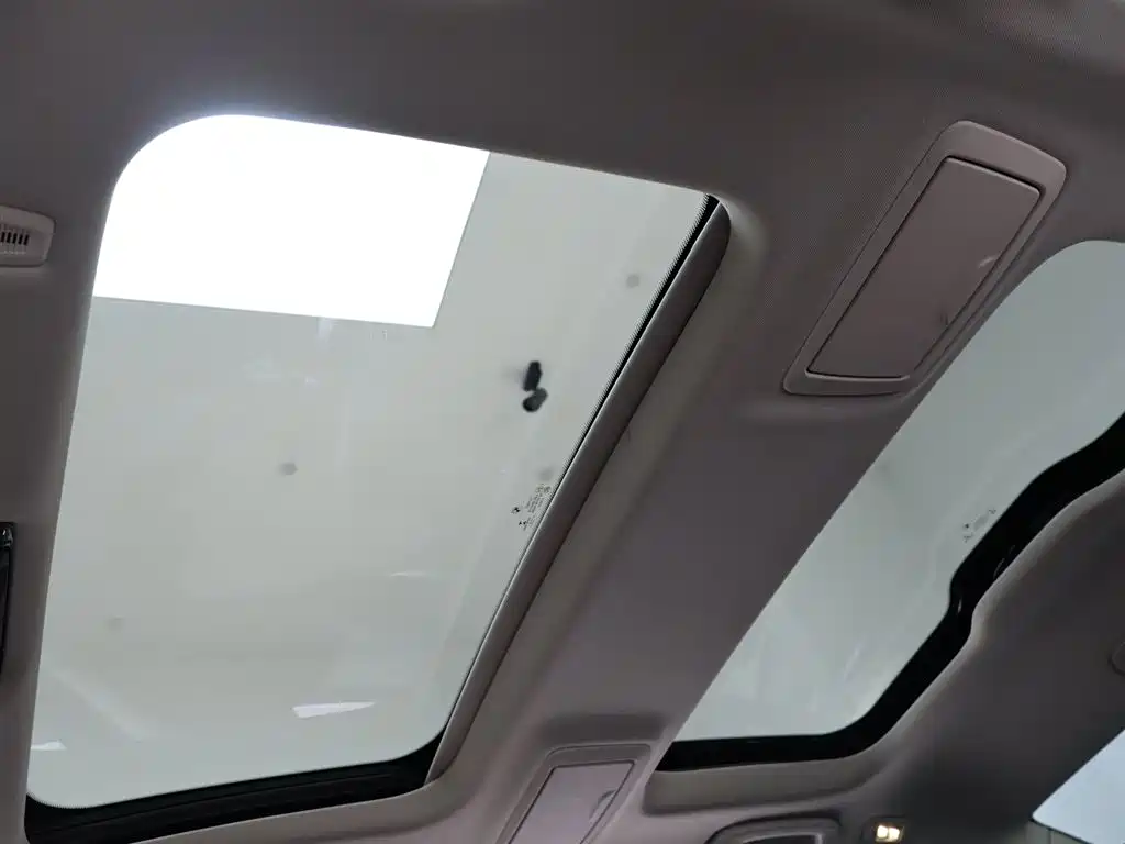 BMW 5 Series 2021 530Li Leading Edition Luxury Package