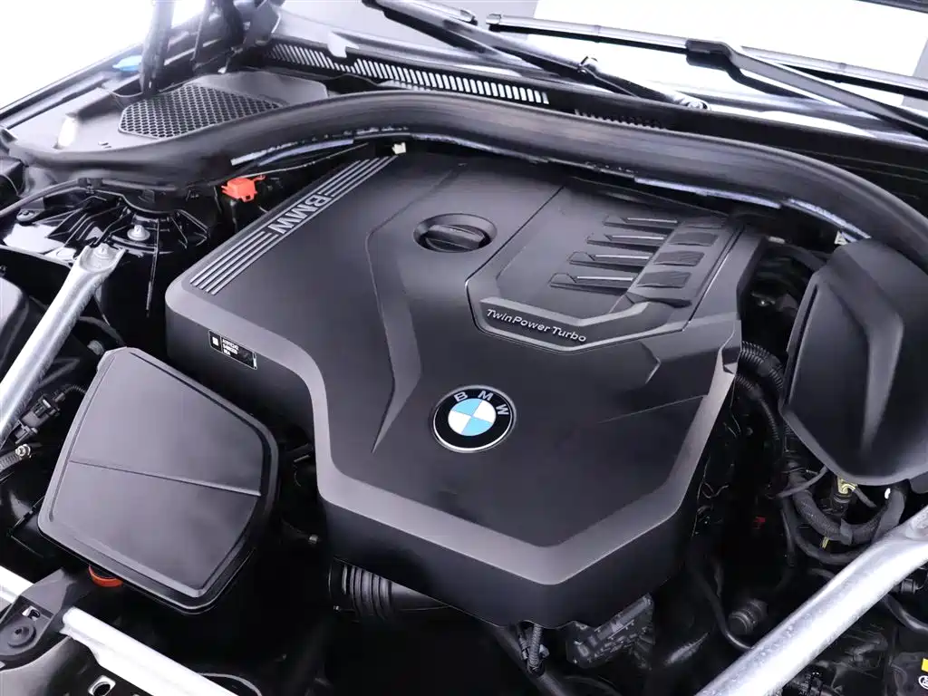 BMW 5 Series 2021 530Li Leading Edition Luxury Package