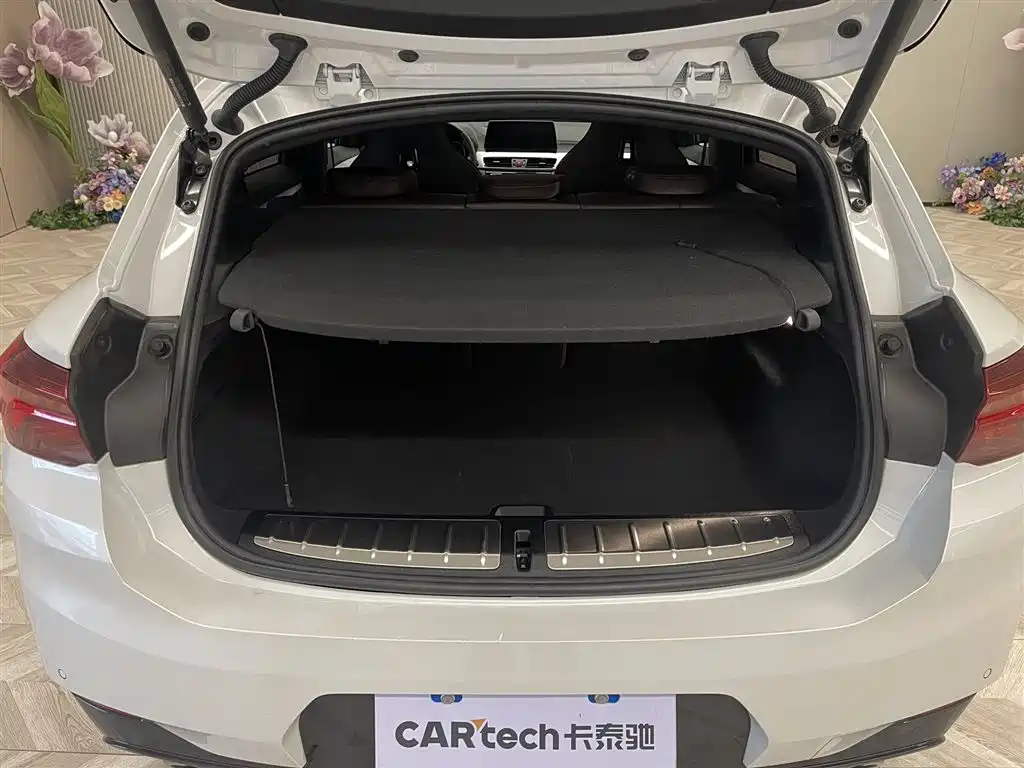 BMW X2 2021 Facelift xDrive25i Nightshade Edition