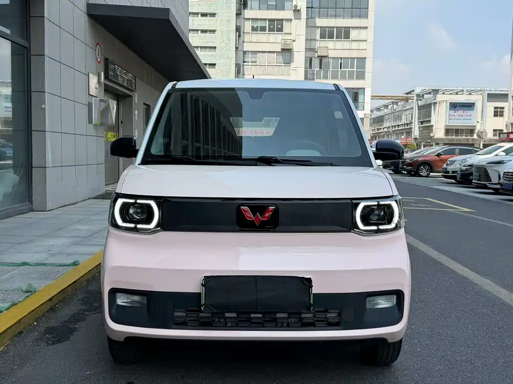 Macaron Zhenxiang Edition with LFP Battery