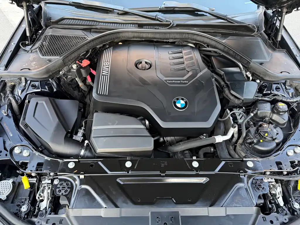 BMW 3 Series 2020 320Li M Sport Package