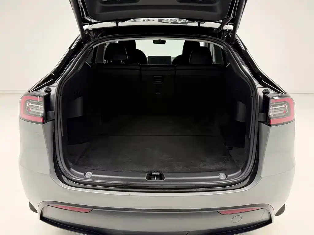 Model Y 2022 Rear-Wheel Drive Edition
