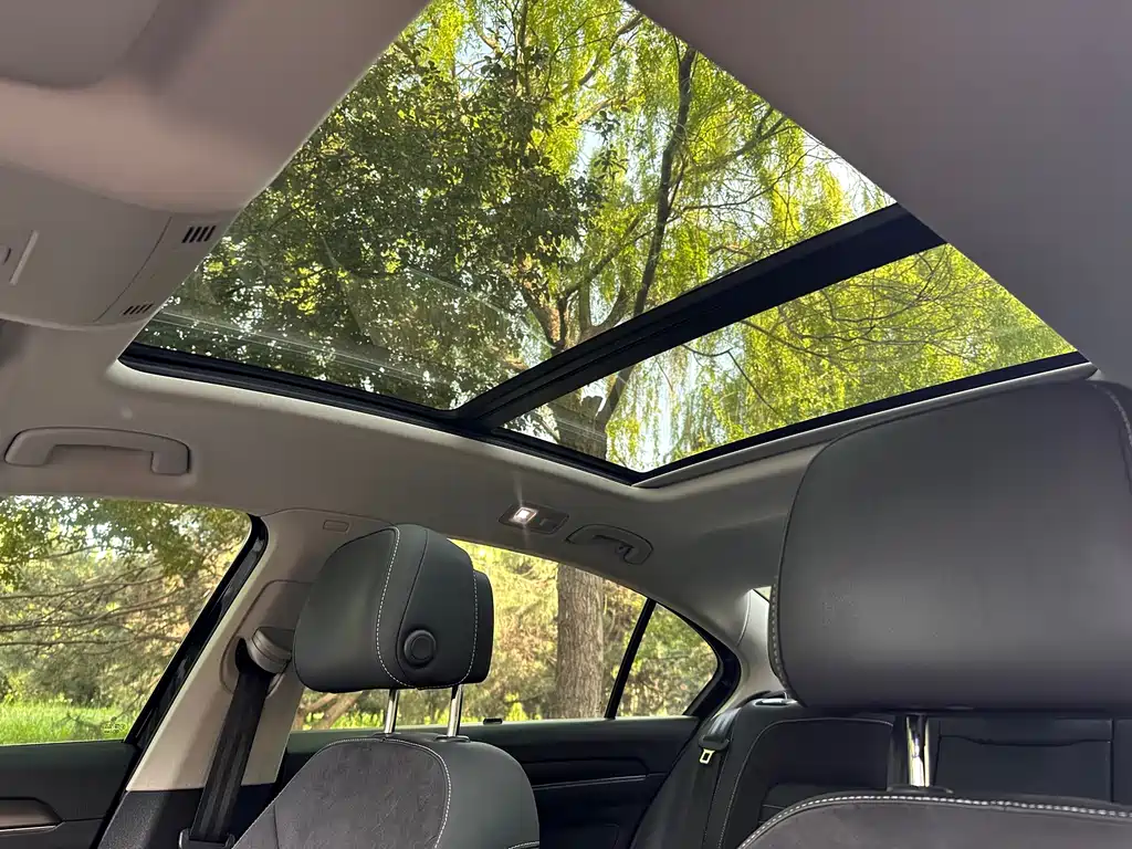 Magotan 2020 330TSI DSG Leading Edition
